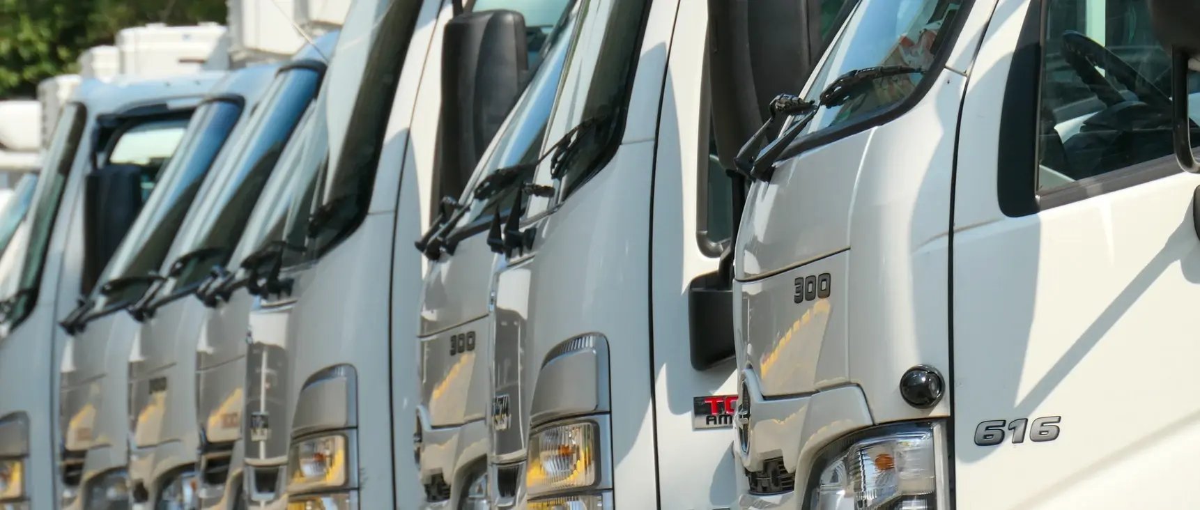 Image of many fleet vehicles lined up