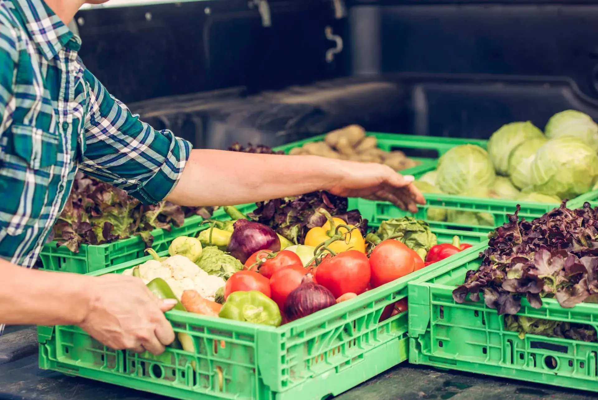 Grower loading crates of fresh vegetables onto a truck