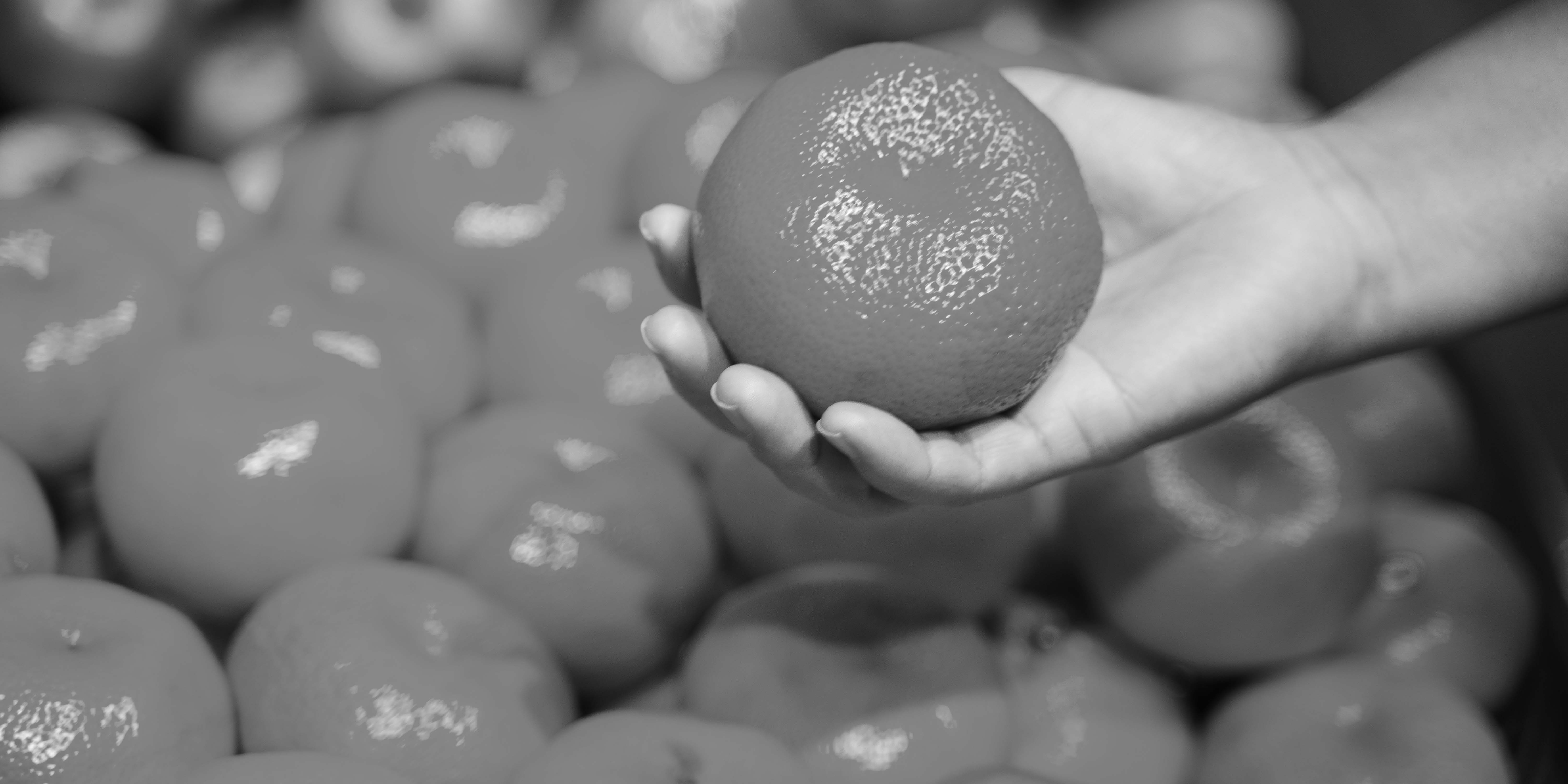 Groceries_Mandarins_BW_crop