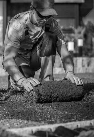 Landscaper laying grass_crop 1_BW