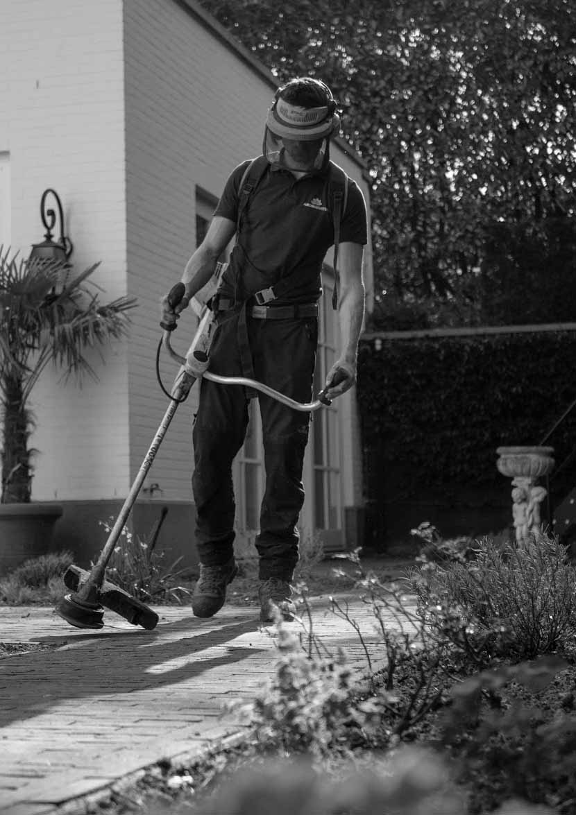 Landscaper trimming the edges_crop_BW