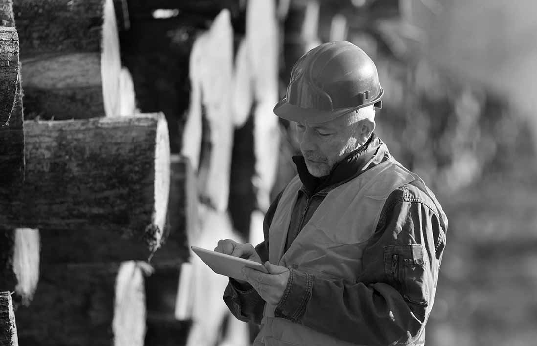 Man checking logs_BW_sml